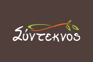 synteknos logo