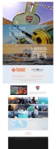 Lets go fishing Ios, case study website preview